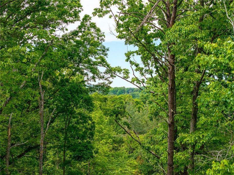 Natural landscape and outdoor views near  in Blue Ridge (Image 45).