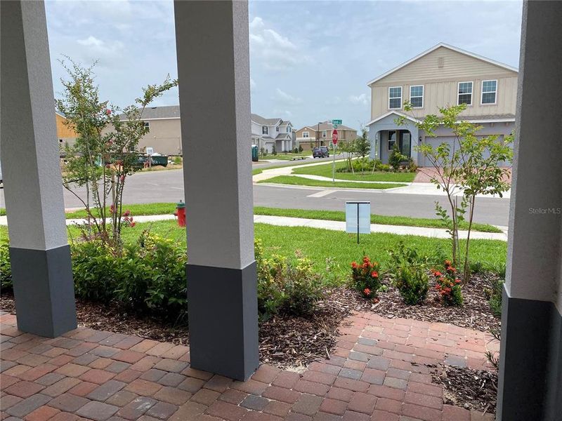 Front Porch / View