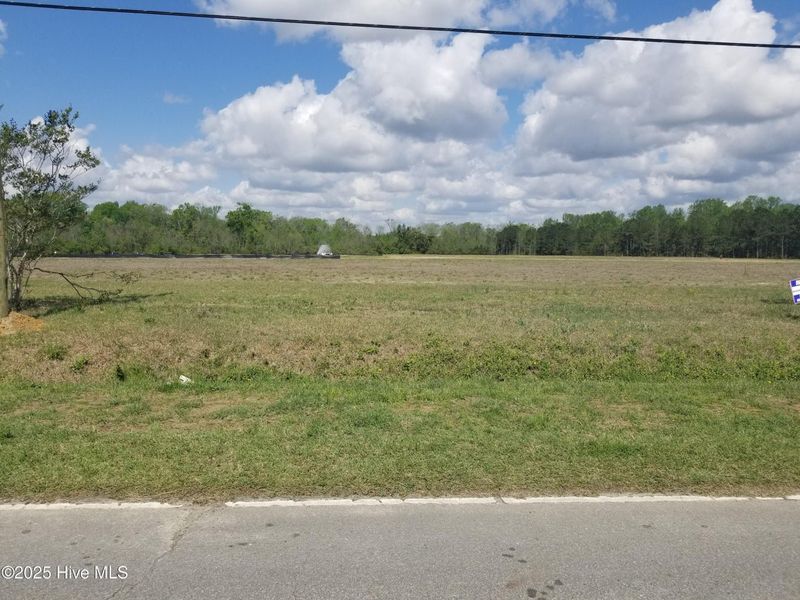Natural landscape and outdoor views near Windfield in Grimesland (Image 16).