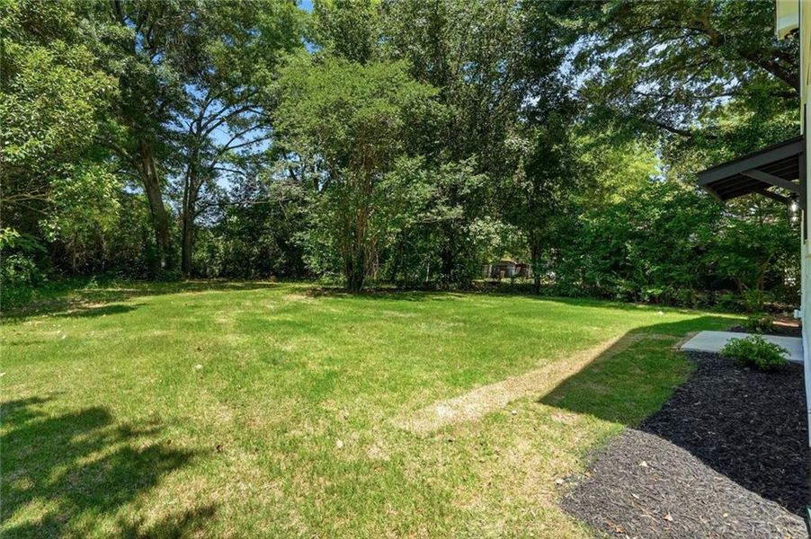 Natural landscape and outdoor views near  in Winterville (Image 29).