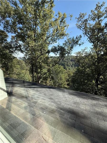 Natural landscape and outdoor views near  in Ranger (Image 51).