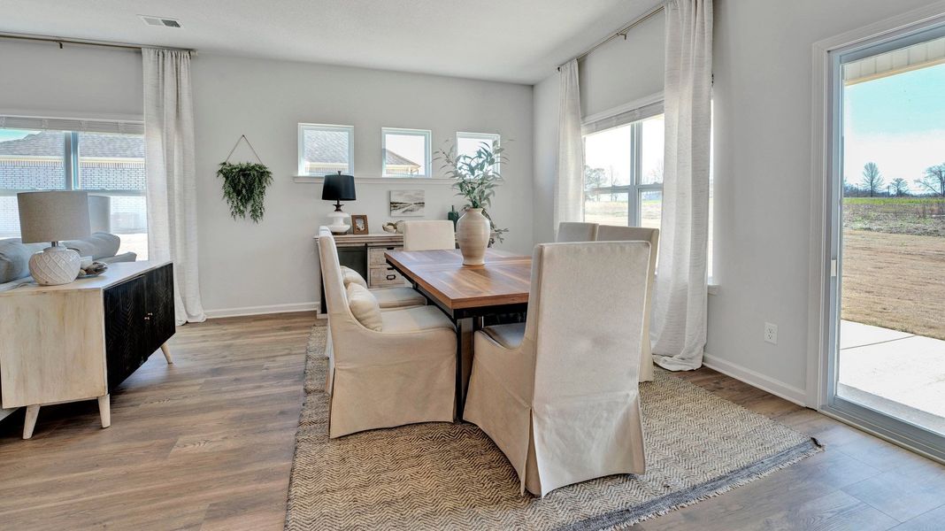 Furnished interior view inside a new home in Shiloh Springs, Jackson (Image 15).