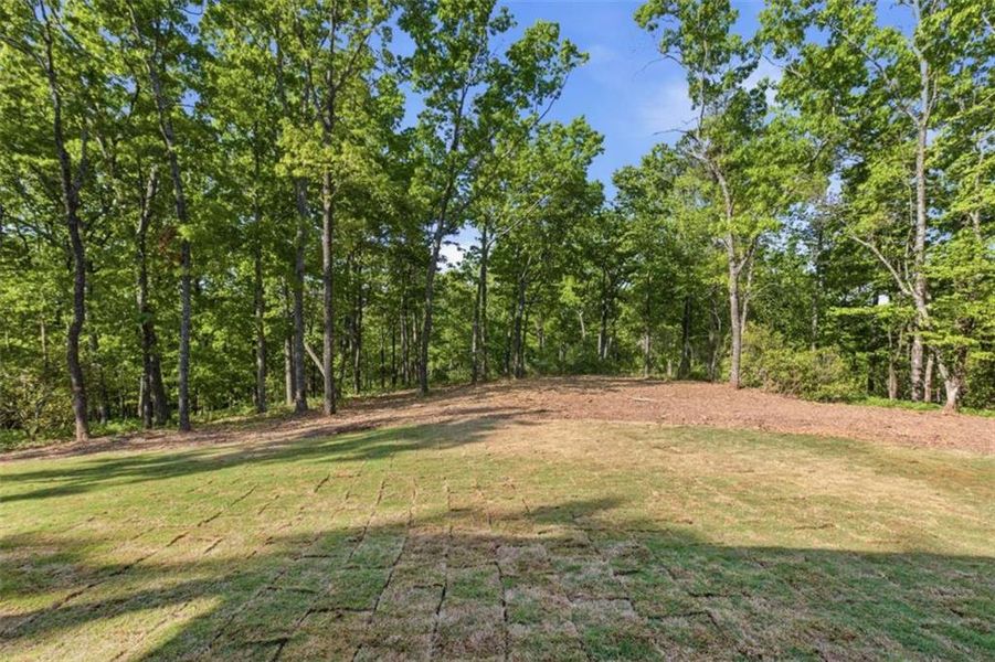 Natural landscape and outdoor views near  in Clarkesville (Image 66).