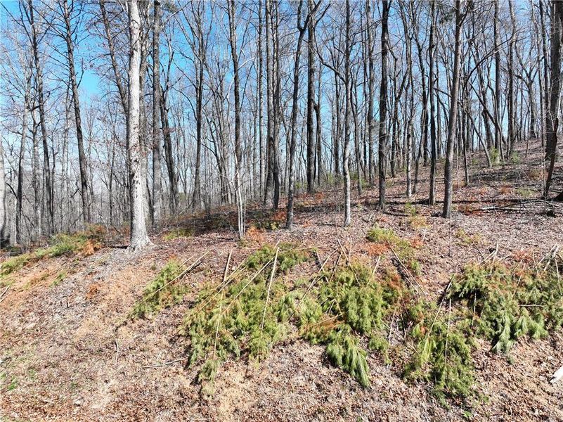 Image 21 of a home in . Image 21 of a home in .