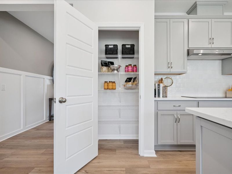 Representative furnished interior of a home built from the Catawba by Tri Pointe Homes in Millstone, Cramerton (Image 9).