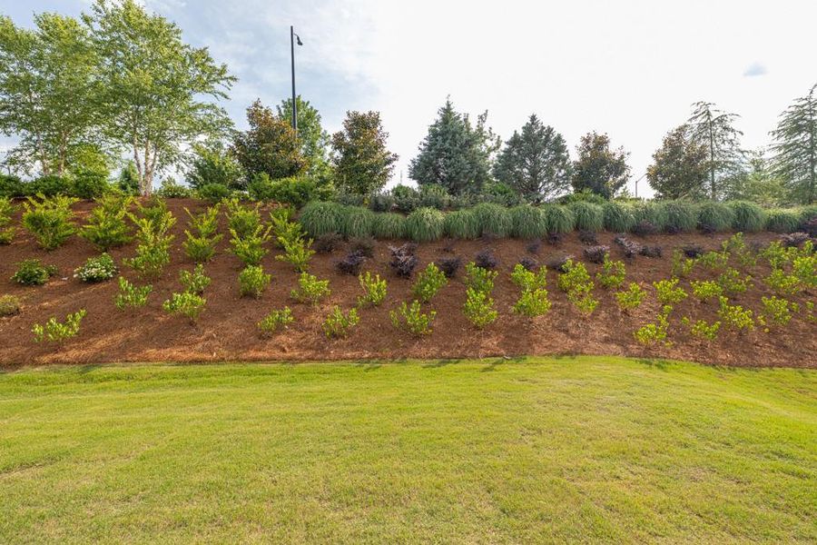 Image 24 of a home in Del Webb Chateau Elan.