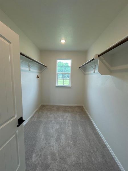 Walk-in closet featuring light gray carpeting, a single window, recessed lighting, and dual clothing rods with shelving