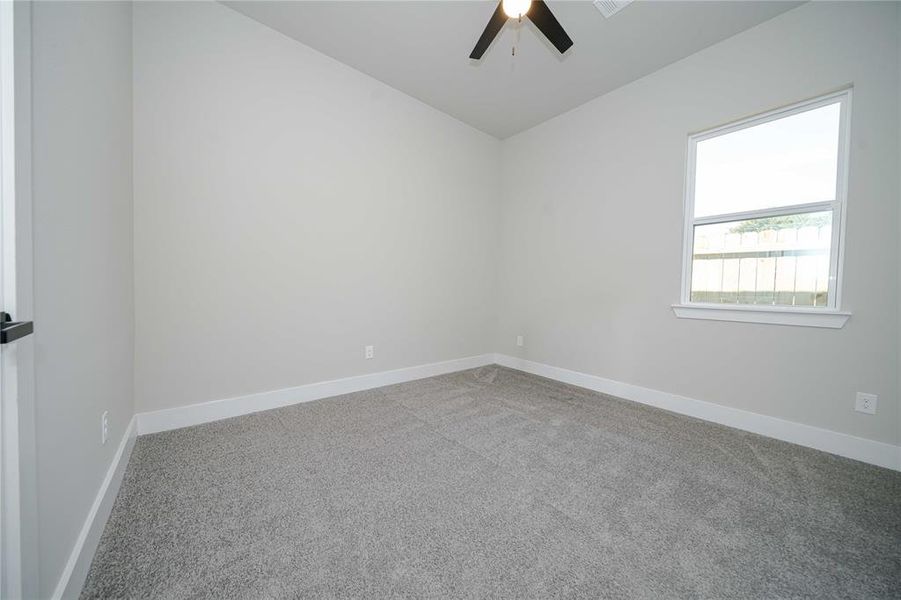 Empty room featuring carpet and ceiling fan Empty room featuring carpet and ceiling fan