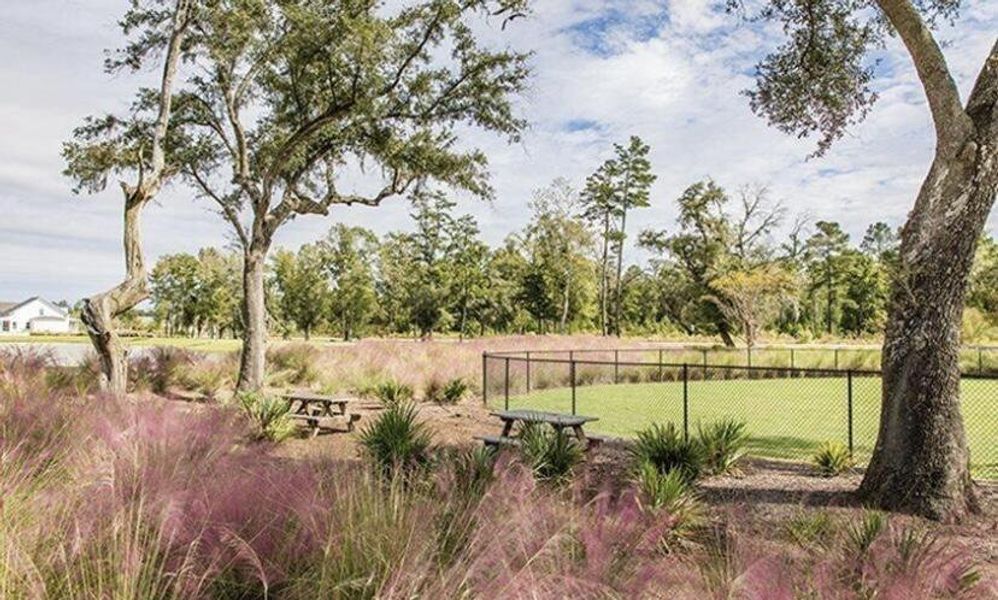 Natural landscape and outdoor views near Sweetgrass at Summers Corner: Arbor Collection in Summerville (Image 9).