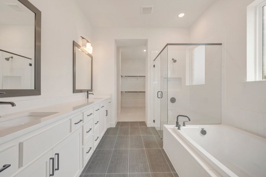 Owner's Bath