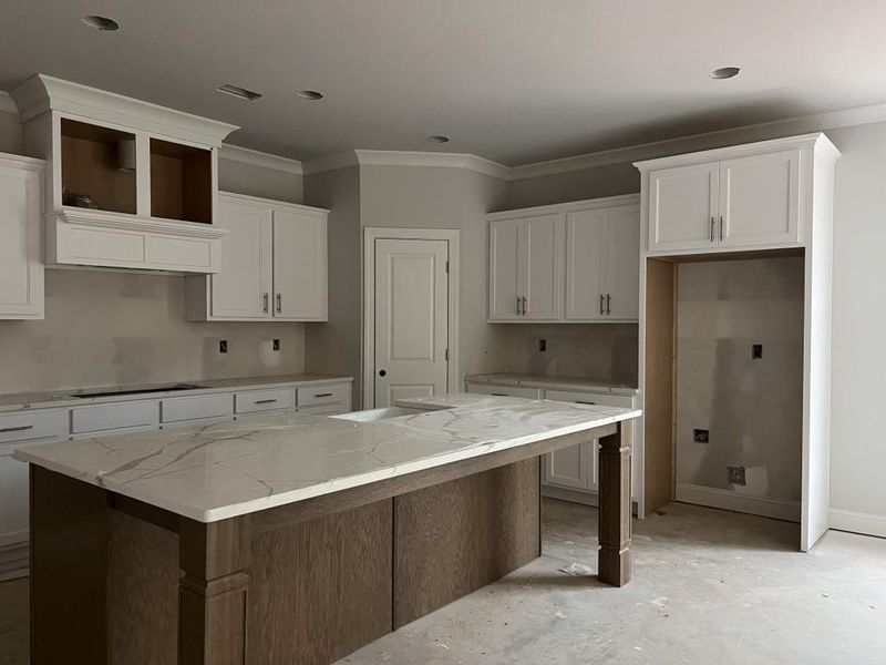 In-progress construction of a new home in Hemingway, Flowery Branch, GA (Image 15).