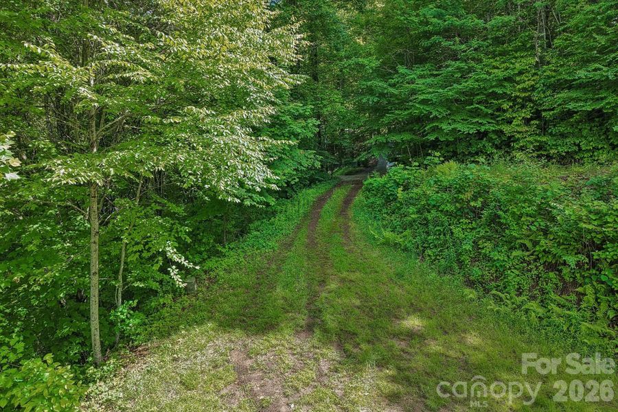Natural landscape and outdoor views near  in Maggie Valley (Image 30).