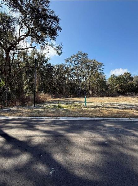 Natural landscape and outdoor views near Country Way South in Newberry (Image 3).