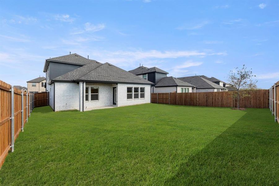 27. 2413 Belmont - Back (2) 27. 2413 Belmont - Back (2)