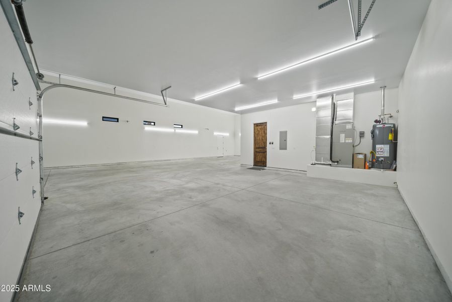 Lupine Ln Reshoot 00008