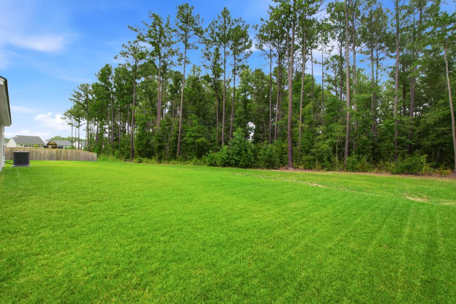 Natural landscape and outdoor views near in Moncks Corner (Image 55). Natural landscape and outdoor views near in Moncks Corner (Image 55).