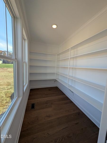 PXL_20251120_144146977