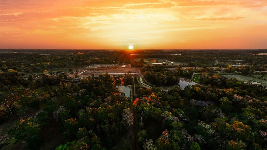 Natural landscape and outdoor views near Gemini in Splendora (Image 4).