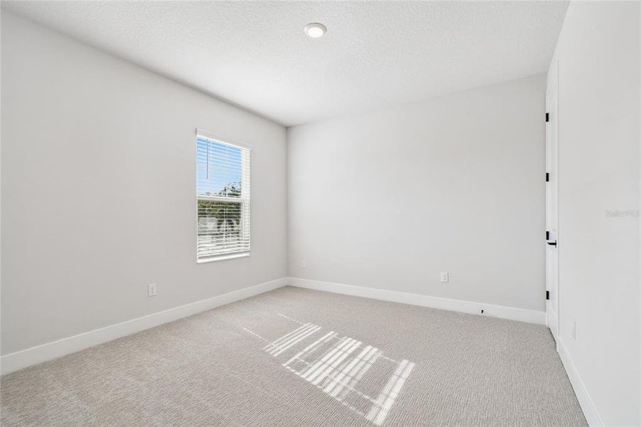 Spacious, unfurnished interior of a new home in South Tampa - Urban Collection, Tampa (Image 40).