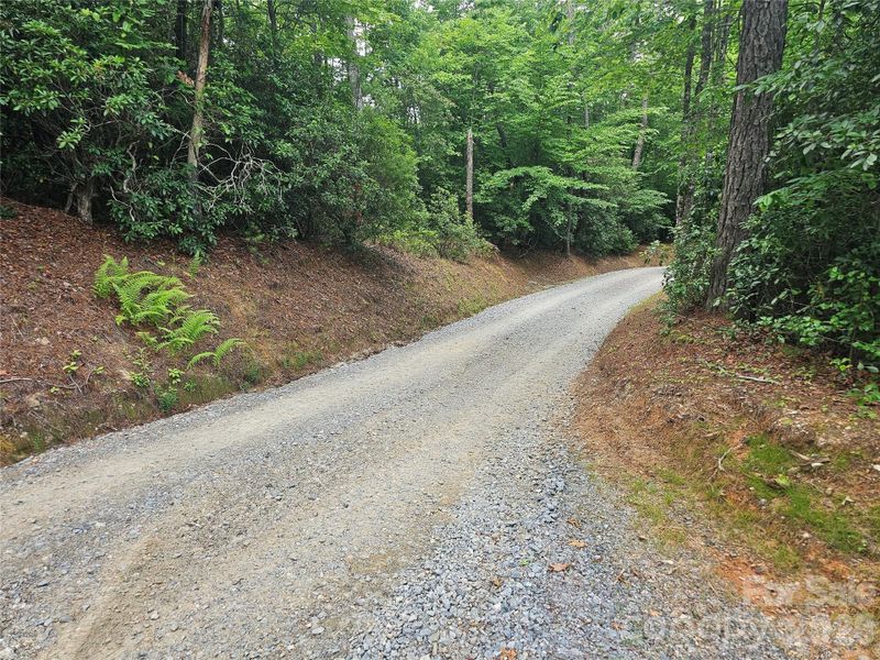 Natural landscape and outdoor views near in Brevard (Image 27). Natural landscape and outdoor views near in Brevard (Image 27).