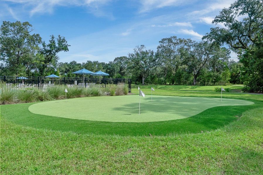 Natural landscape and outdoor views near Sea Island Preserve in Johns Island (Image 71).