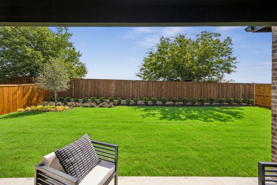 Backyard Backyard