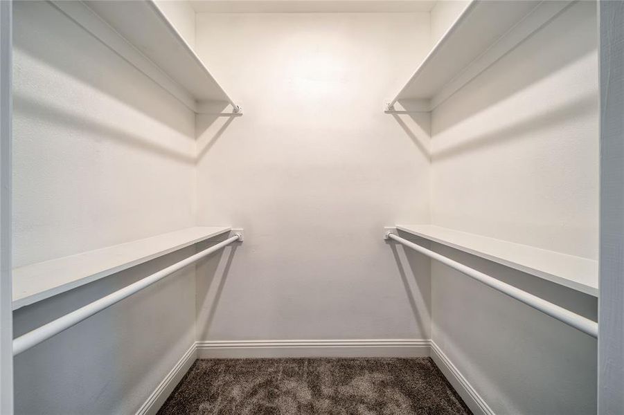 Walk in closet featuring carpet flooring