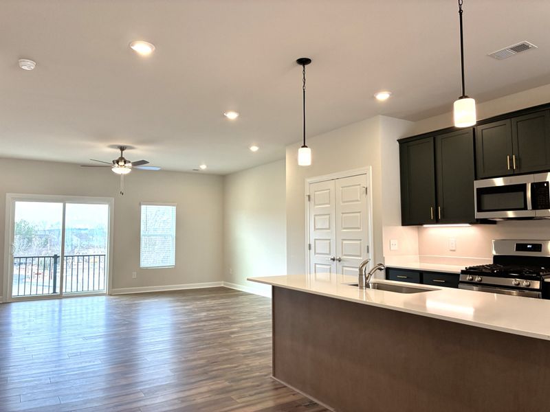 Furnished interior view inside a new home in Holly View, Greenville (Image 10).