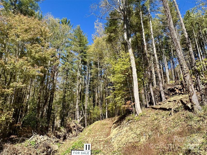 Natural landscape and outdoor views near  in Maggie Valley (Image 5).