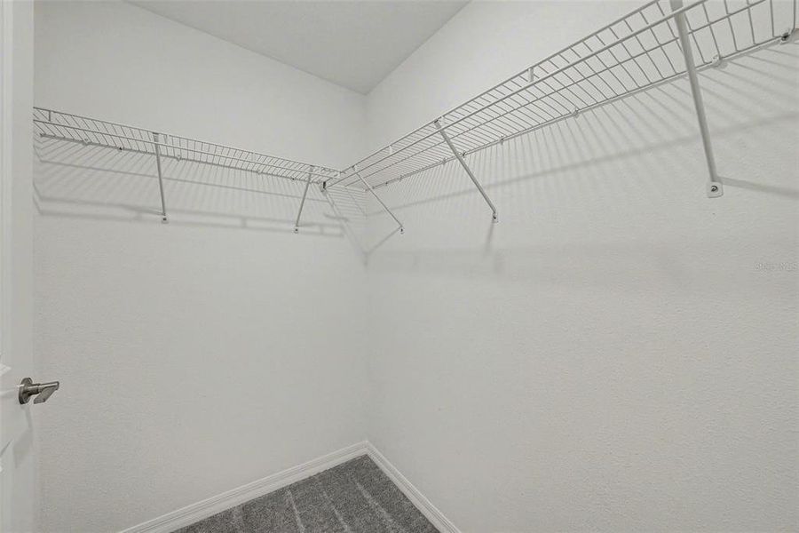 Spacious, unfurnished interior of a new home in , Zephyrhills (Image 22).