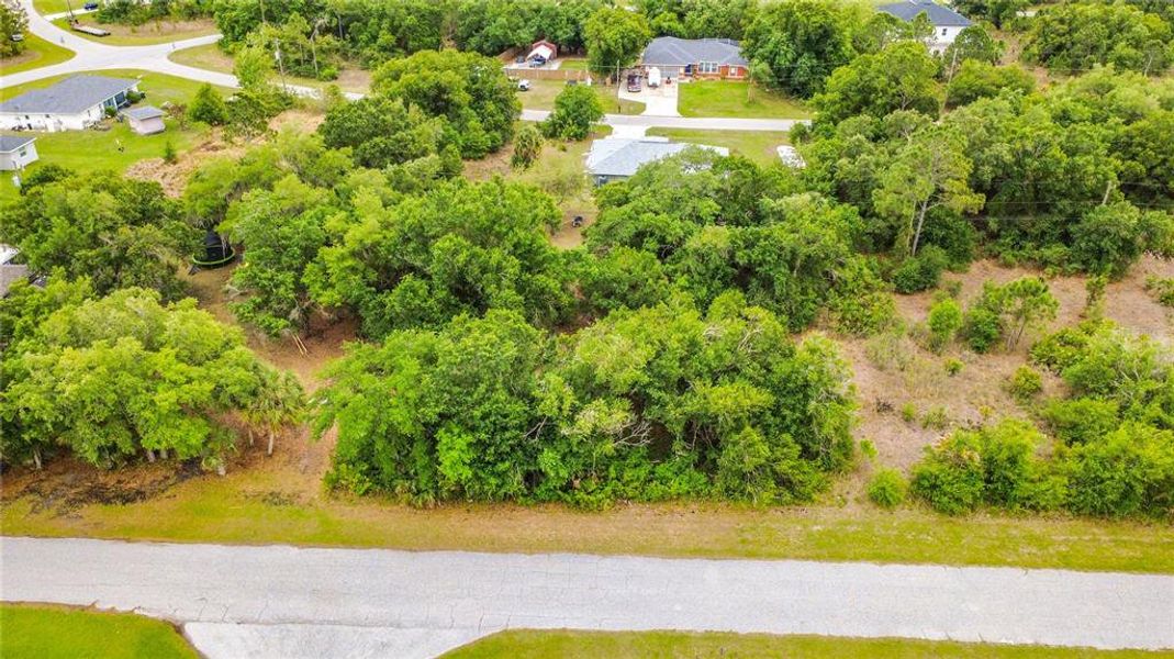 Natural landscape and outdoor views near  in North Port (Image 50).