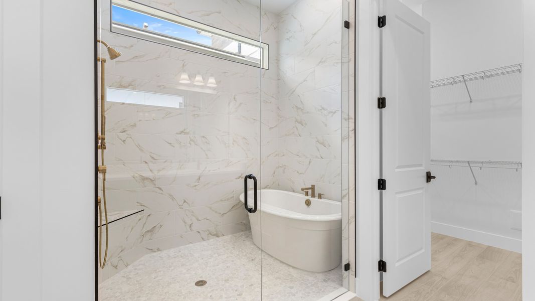 Owner's Bath