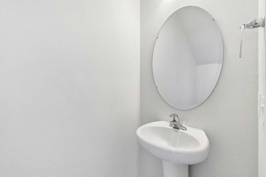 The Shelmer - Powder Bath The Shelmer - Powder Bath