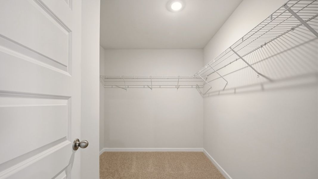Representative unfurnished interior of a home built from the Somerset by D.R. Horton in Oakchase at Hampton, Hampton (Image 24).