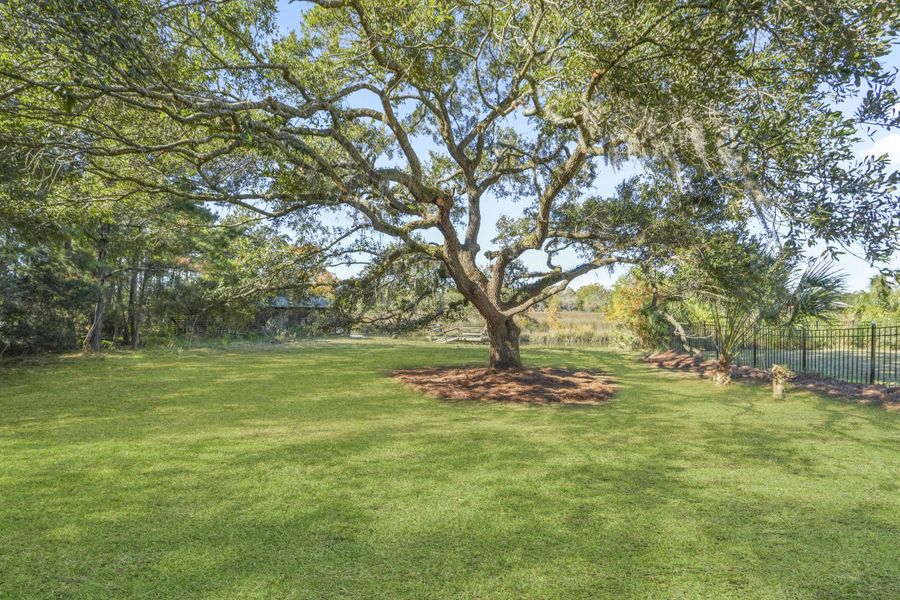 Natural landscape and outdoor views near  in Charleston (Image 55).