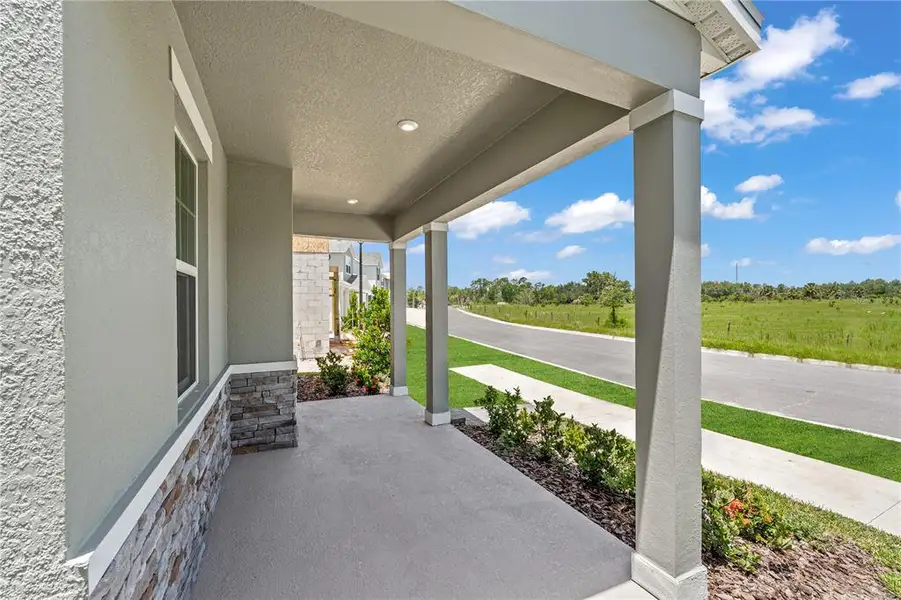 Exterior details and patio area of a home in , Wesley Chapel (Image 3).