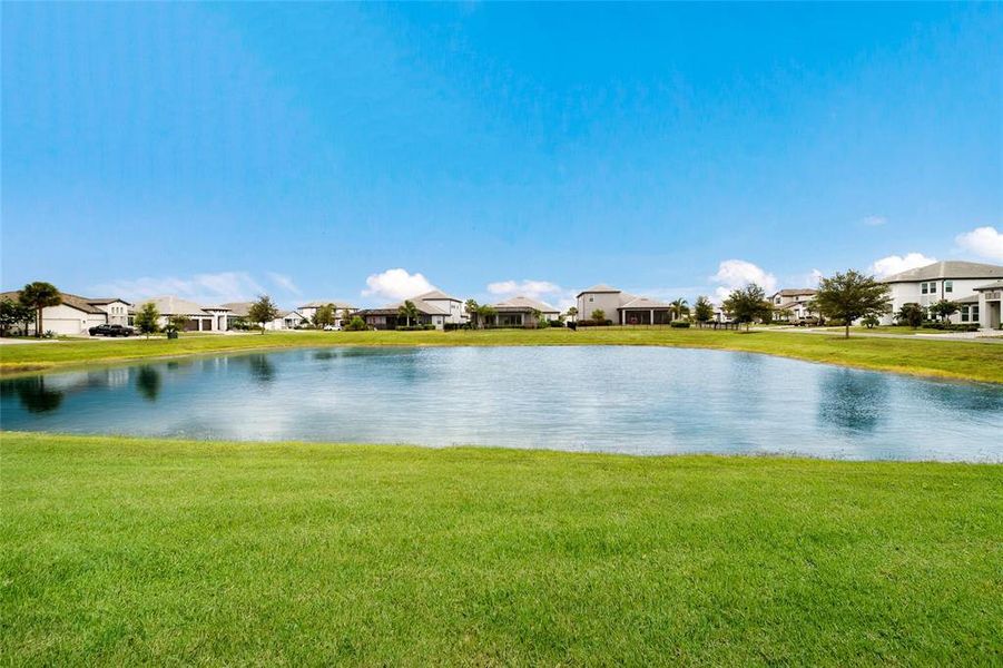 Natural landscape and outdoor views near Sweetwater at Lakewood Ranch in Bradenton (Image 54).