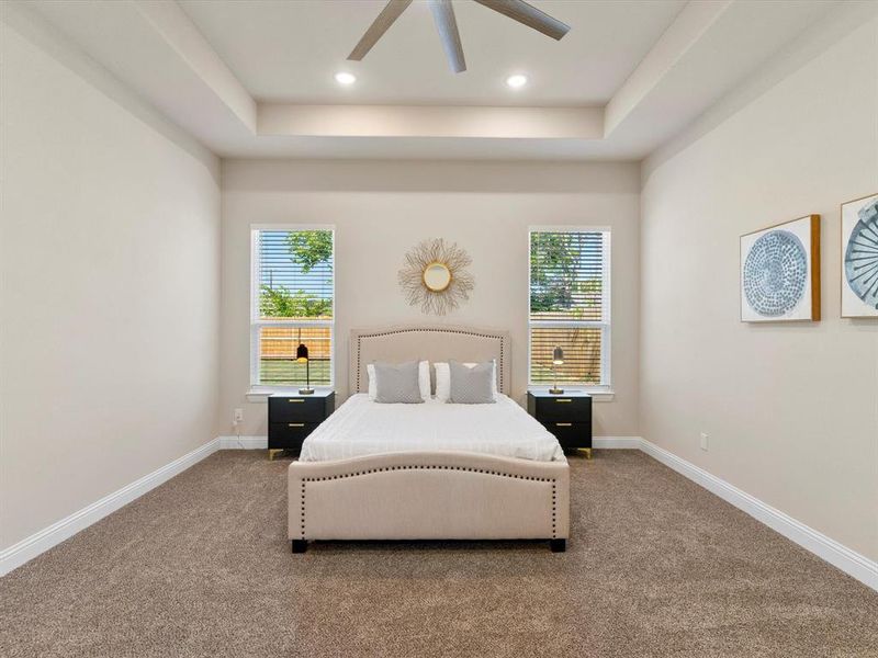 Carpeted bedroom featuring multiple windows, a raised ceiling, and ceiling fan