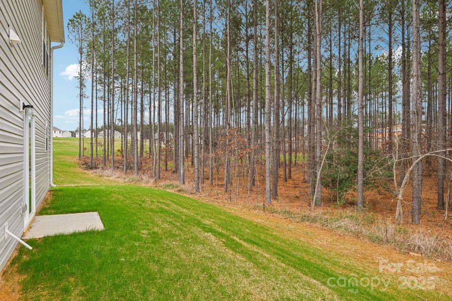 Exterior details and patio area of a home in The Pines at Stoney Point, Lexington (Image 11).