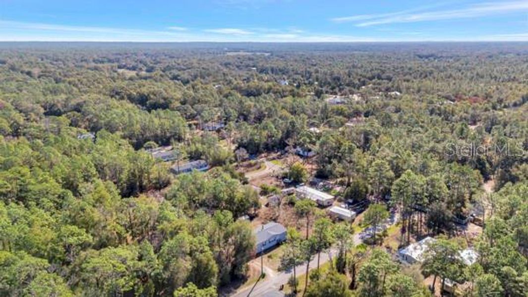 Natural landscape and outdoor views near  in Crystal River (Image 22).