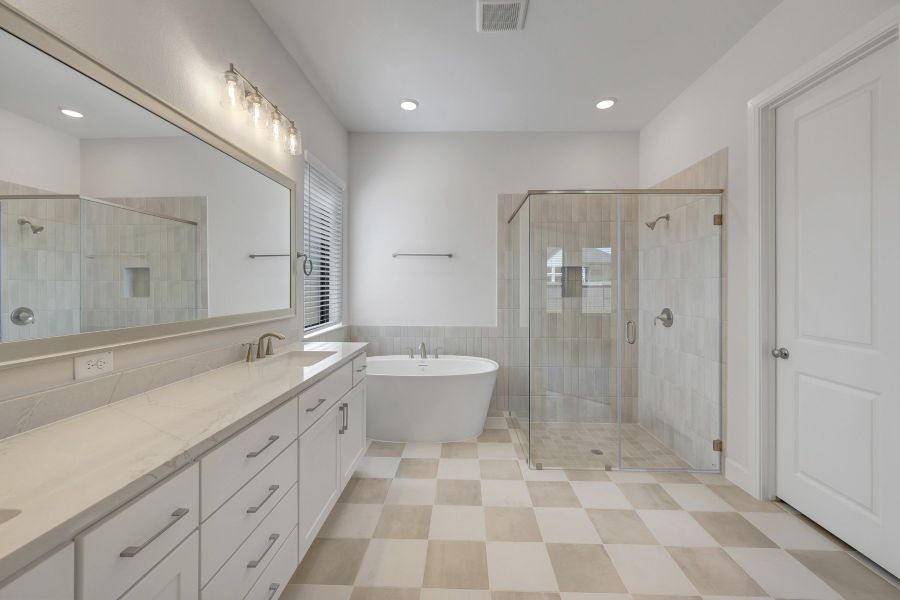 Owner's Bath
