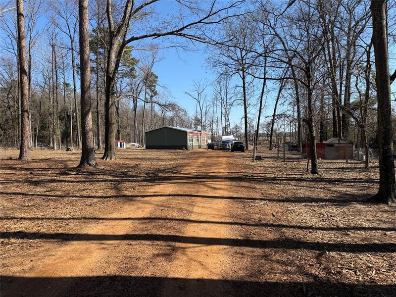 Natural landscape and outdoor views near  in Naples (Image 34).