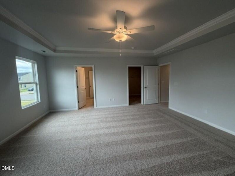 primary from back wall (Medium)