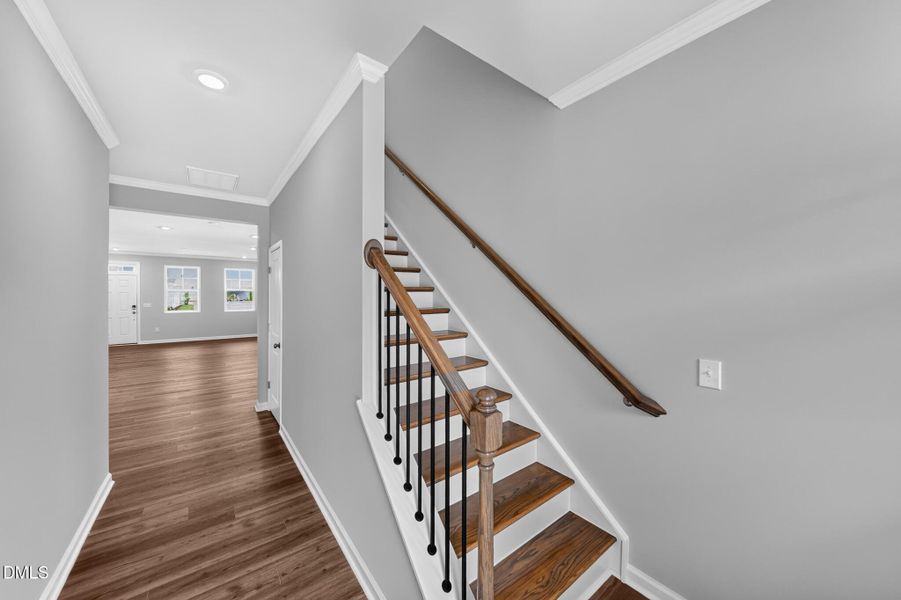 SUN_Rosedale_Pic_Dylan-27