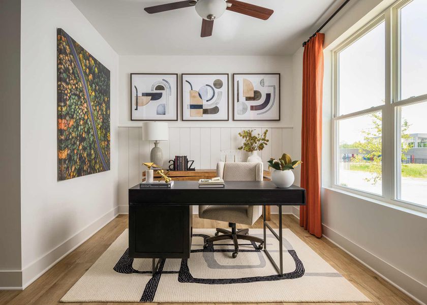 The Haddington - Study