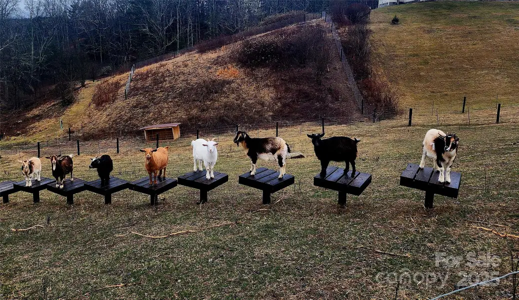 Image 35 of a home in .