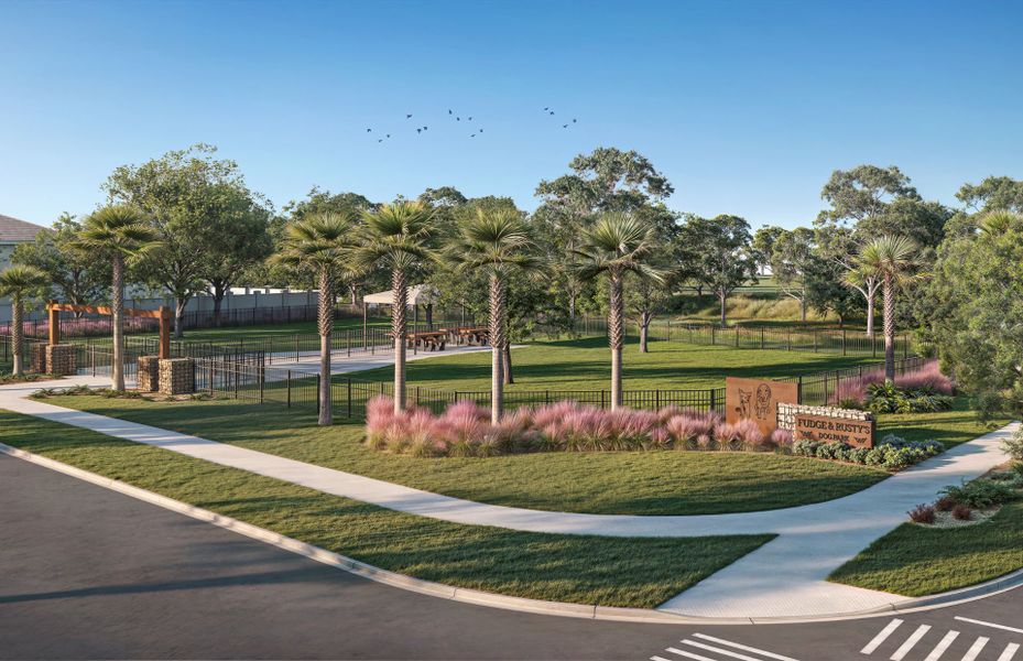 Community amenities in Vida's Way, Wesley Chapel (Image 26).