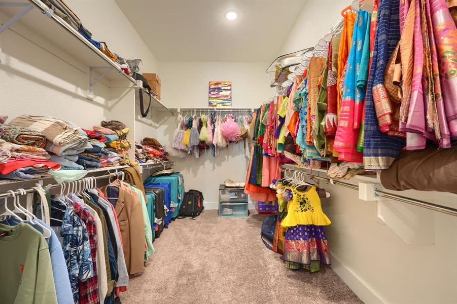 Spacious closet featuring carpet