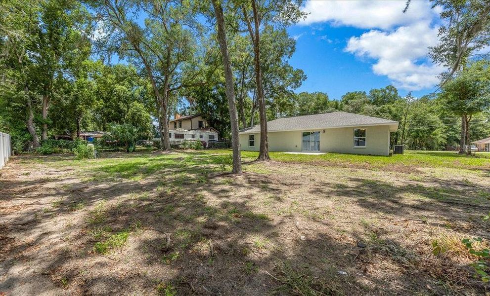 Natural landscape and outdoor views near  in Belleview (Image 30).