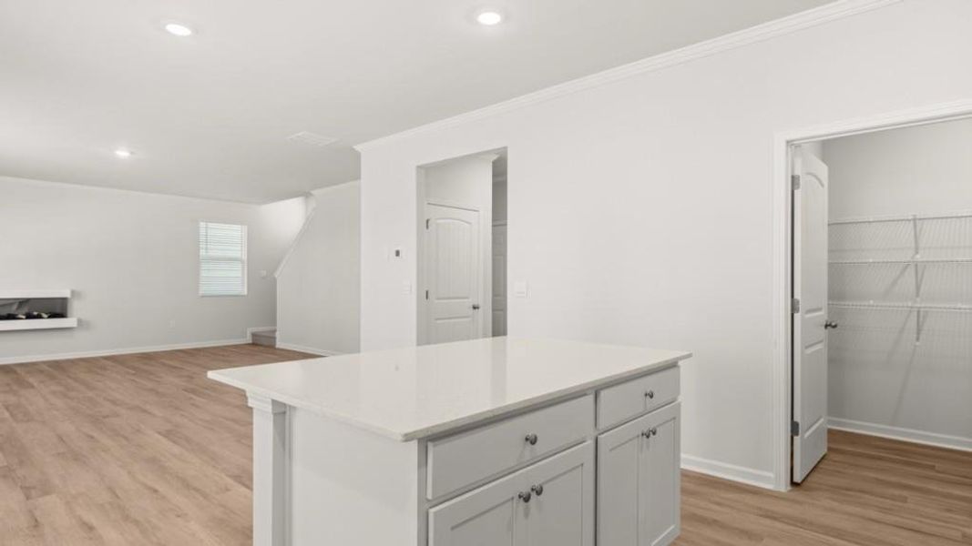 Furnished interior view inside a new home in Braselton Village, Braselton (Image 3). Furnished interior view inside a new home in Braselton Village, Braselton (Image 3).